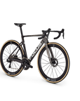 2026 Focus Izalco Max 9.9 Graphitbrush