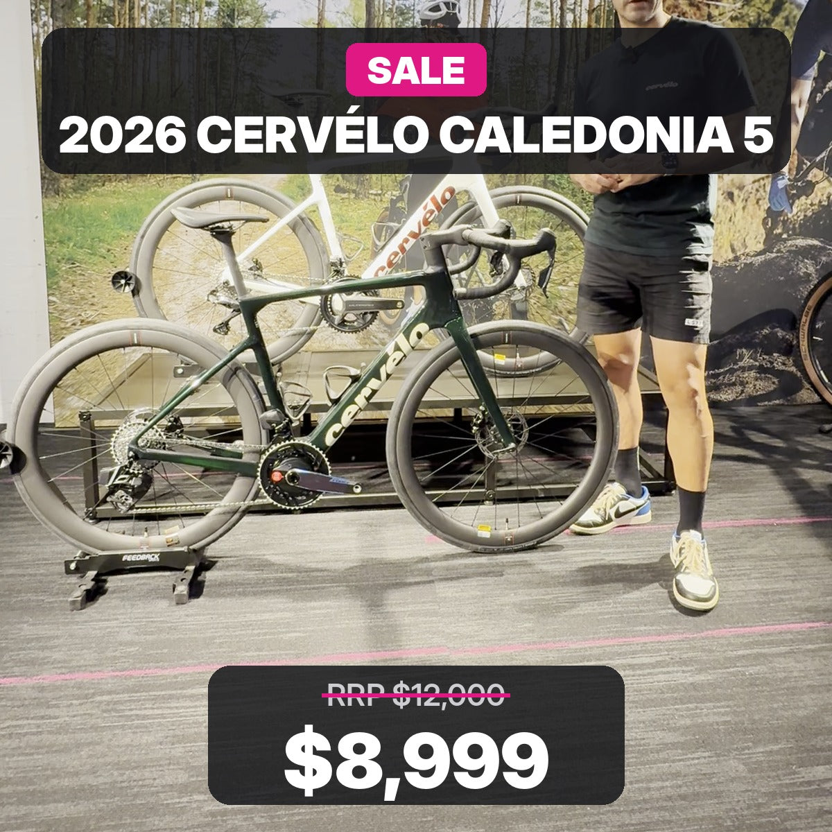 SALE - 2026 Cervelo Caledonia 5