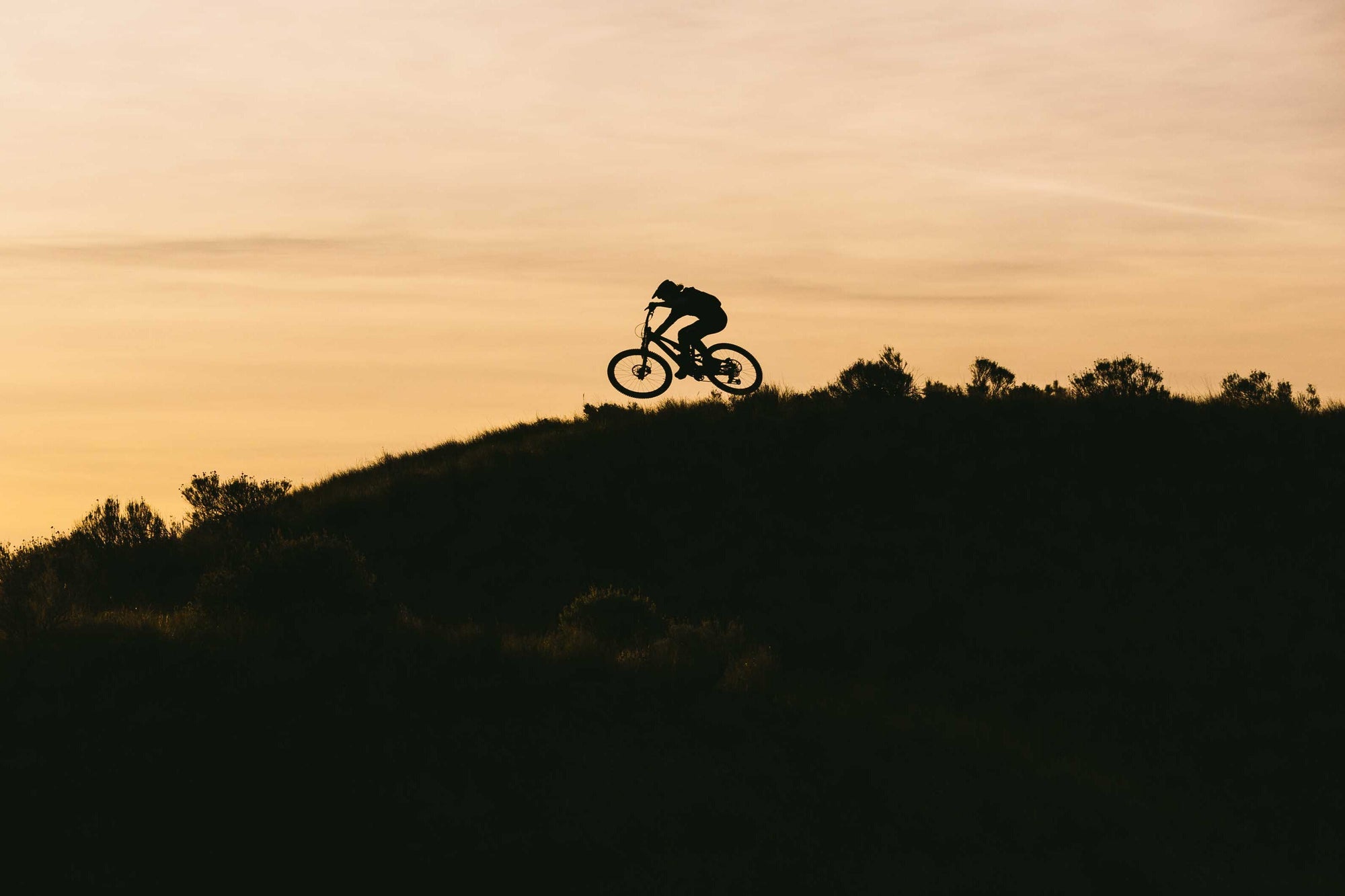 Mountain Bikes