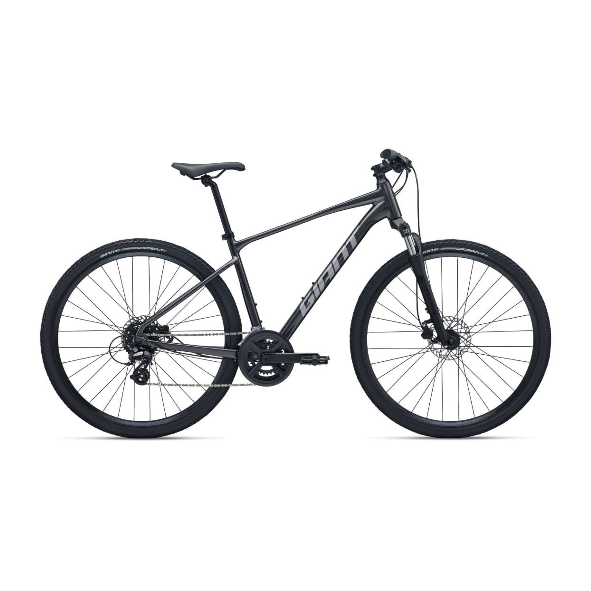 2026 Giant Roam 4 Stealth Chrome