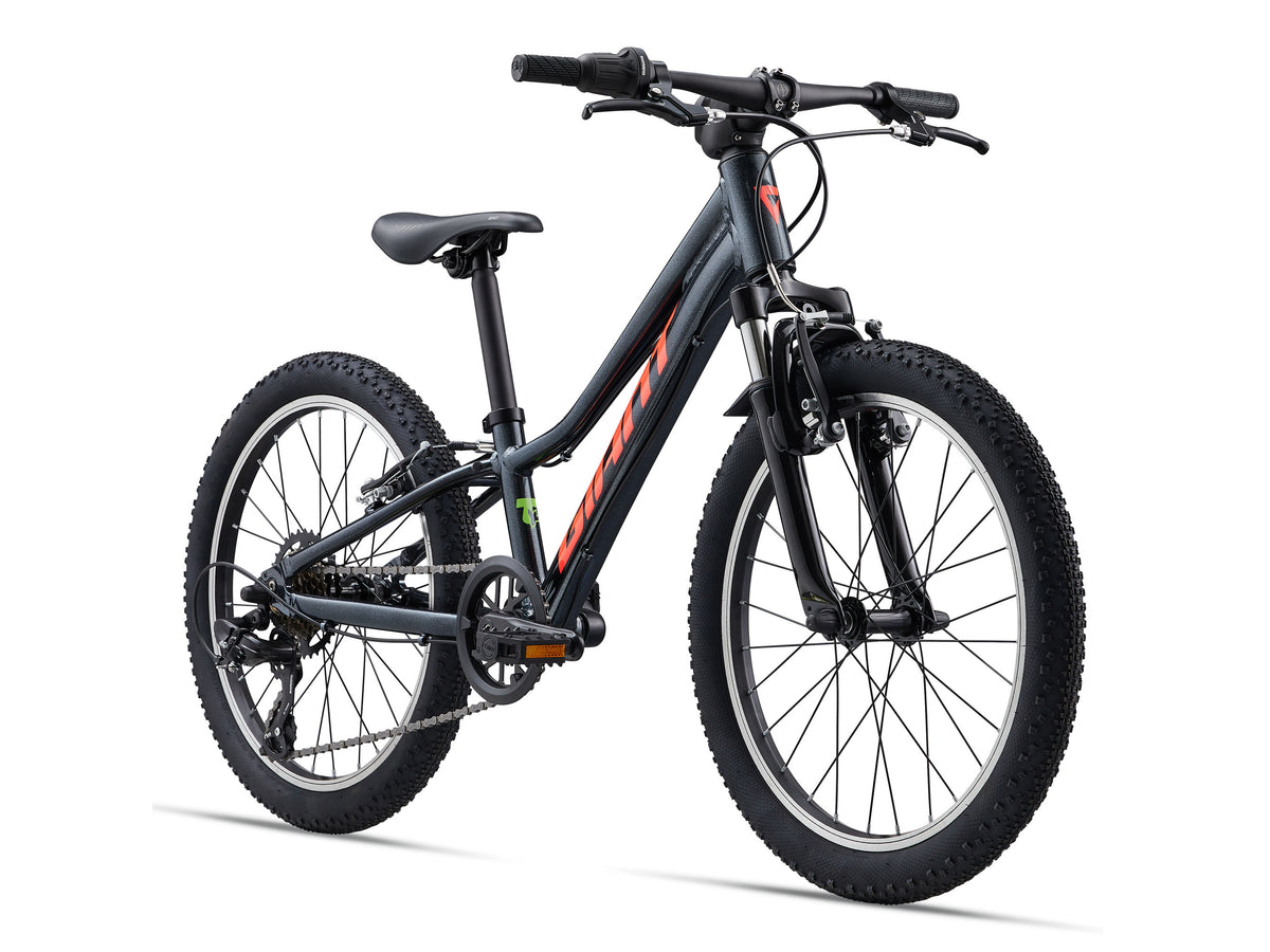 Giant Talon 20 One Size Black Diamond