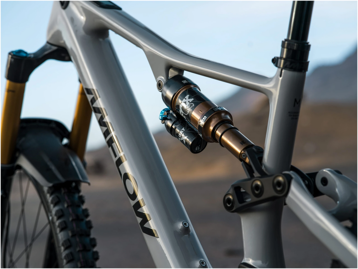 Amflow PX Carbon Pro