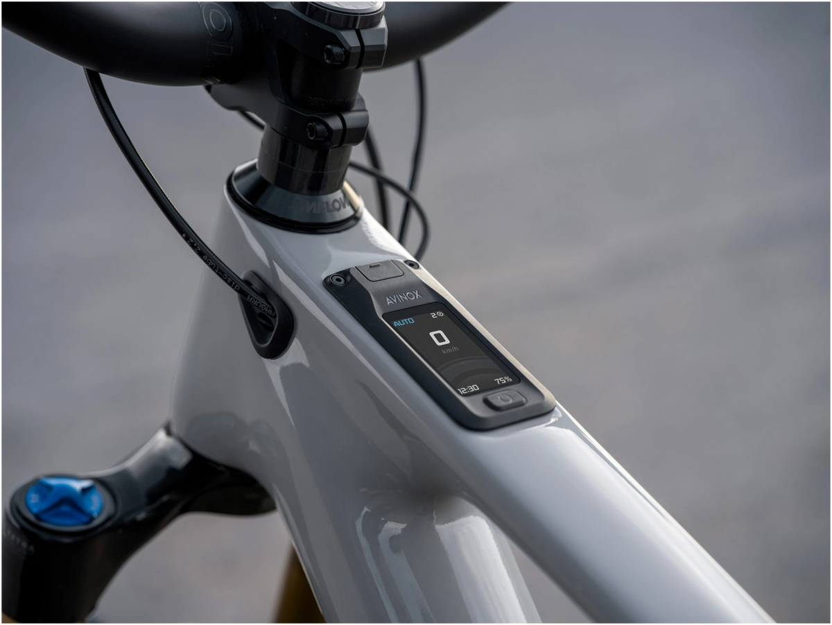 Amflow PX Carbon Pro