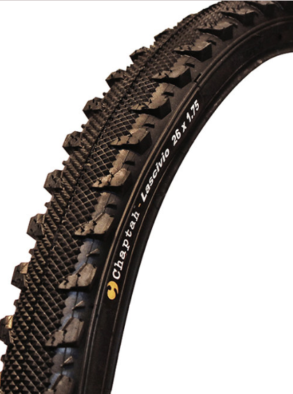 Chaptah Lascivio 24 X 1.75 WB Black