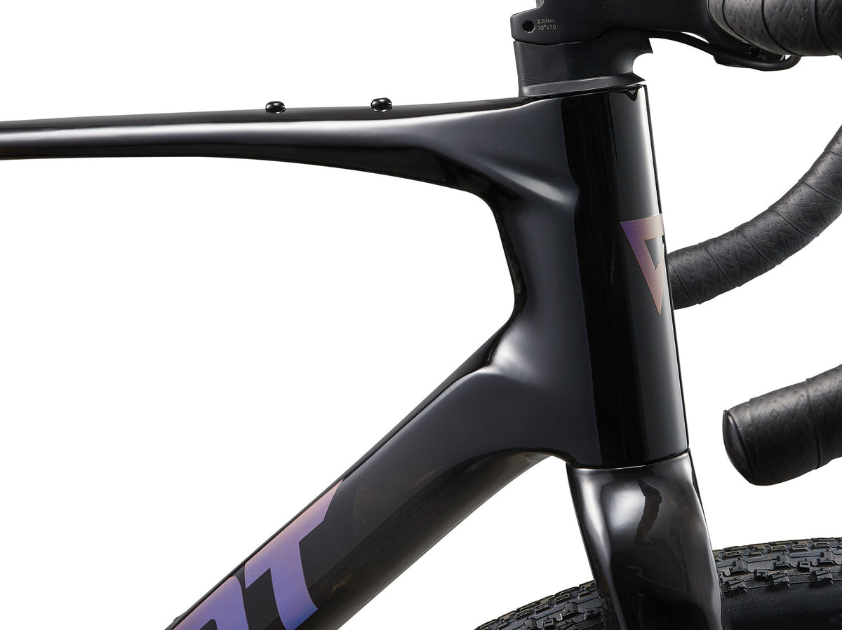 2025 Giant Revolt Advanced 2 Carbon