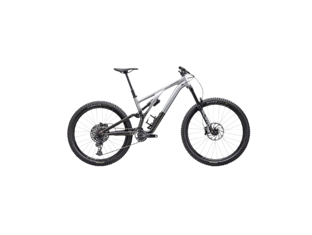 2023 Specialized Stumpjumper Evo Elite Alloy Gloss Silver Dust / Black Tint