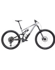 2023 Specialized Stumpjumper Evo Elite Alloy Gloss Silver Dust / Black Tint