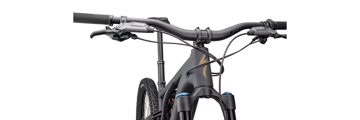 2025 Specialized Levo Comp Alloy