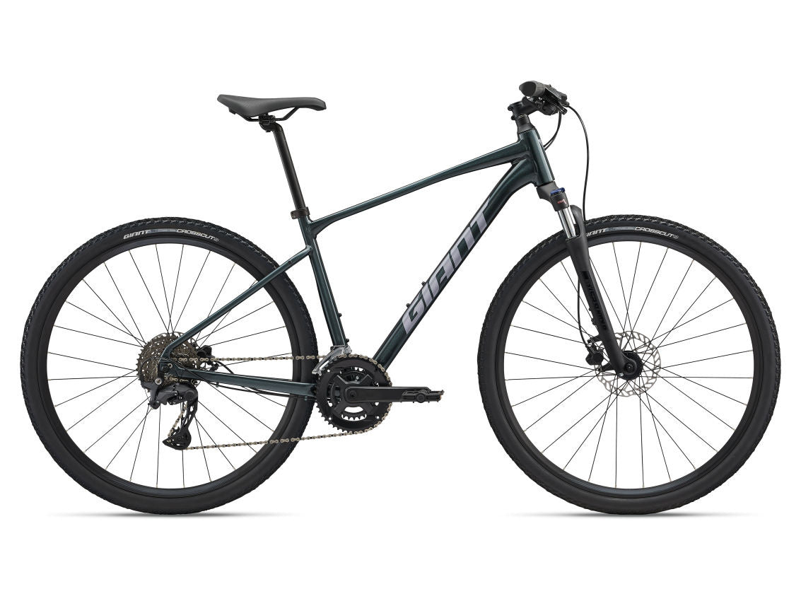 2025 Giant Roam 2 Asphalt Green