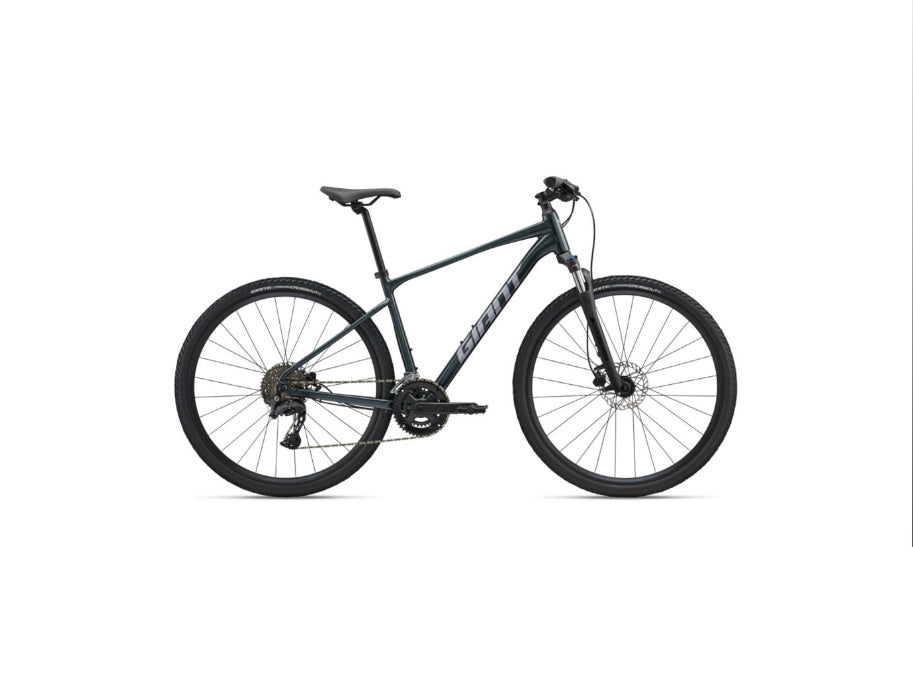 2025 Giant Roam 2 Asphalt Green