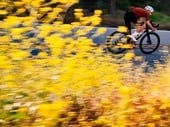 2025 Cervelo Caledonia-5 Force AXS